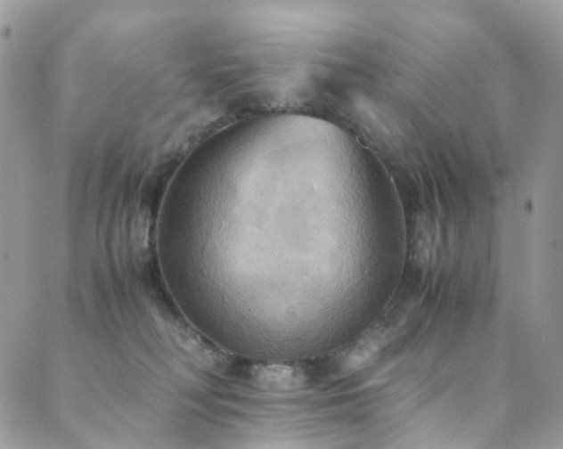 X0000089670230200706211202