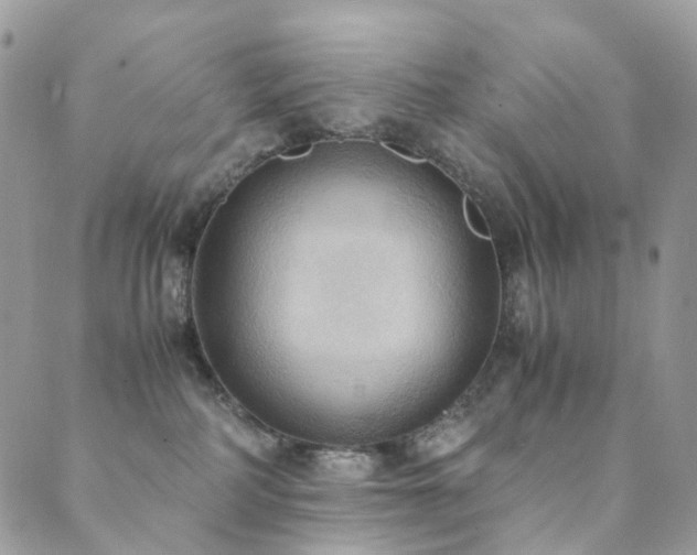 X0000089670234200706211202