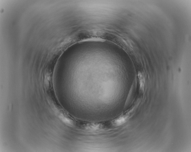 X0000089670235200706211202