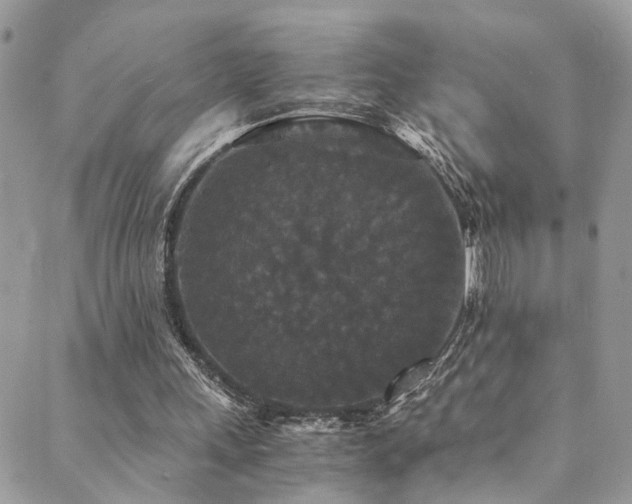 X0000089670243200706211201