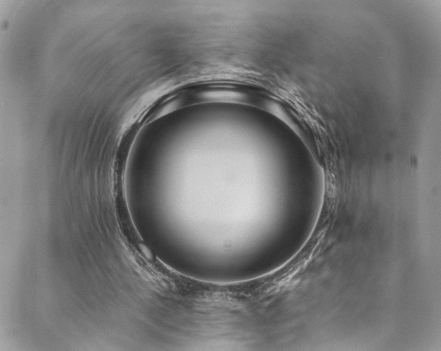 X0000089670244200706211201
