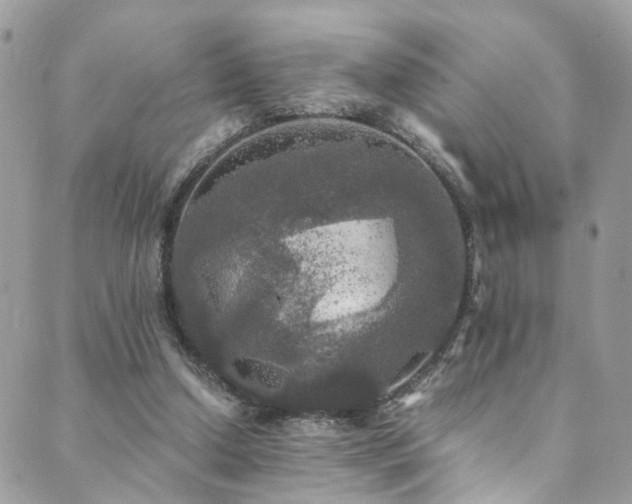 X0000089670250200706211201