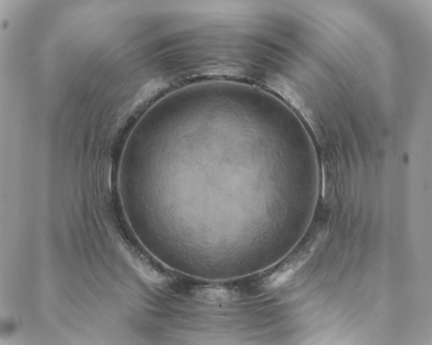 X0000089670253200706211201