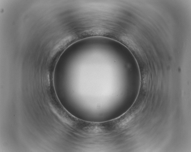 X0000089670254200706211201