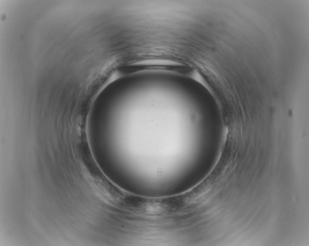 X0000089670264200706211201