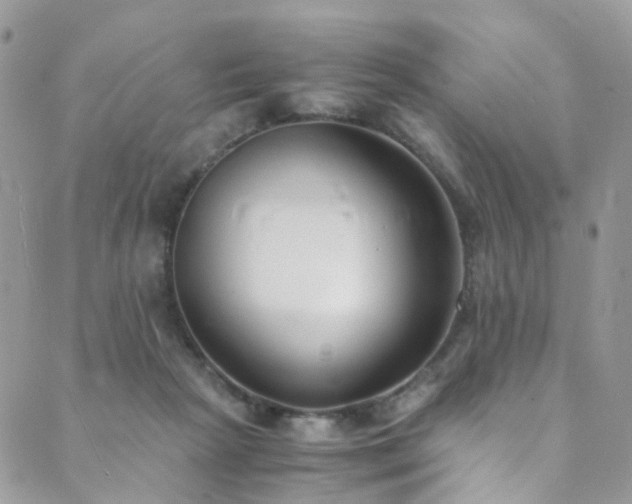 X0000089670265200706211201