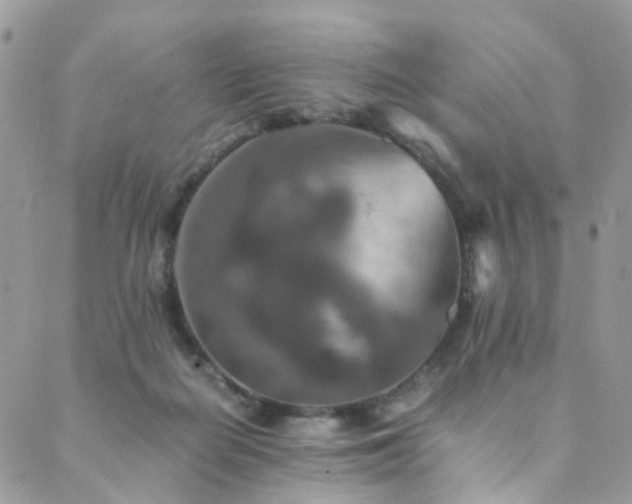 X0000089670266200706211201