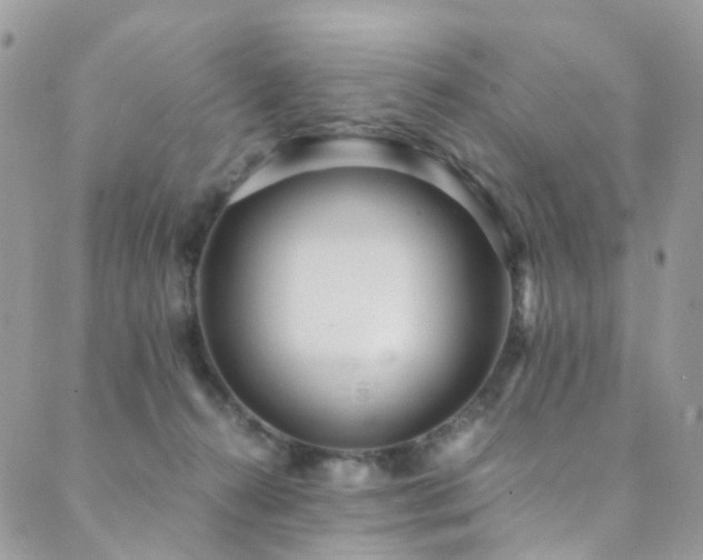 X0000089670272200706211201