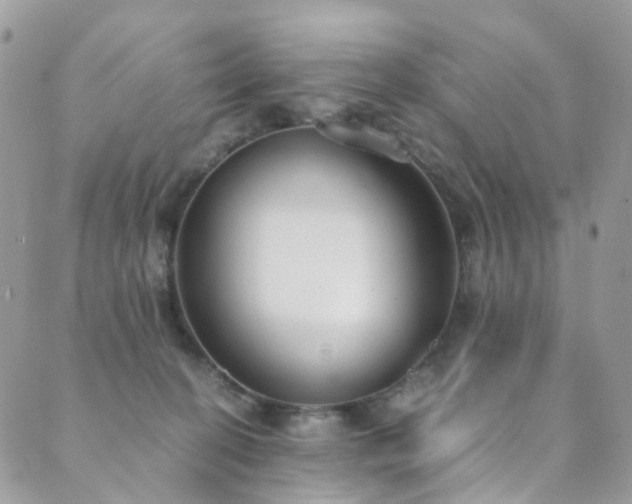 X0000089670274200706211201