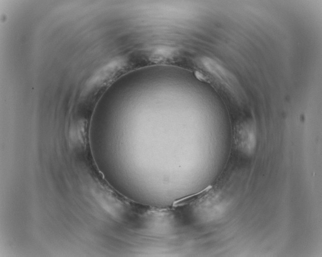 X0000089670280200706211201