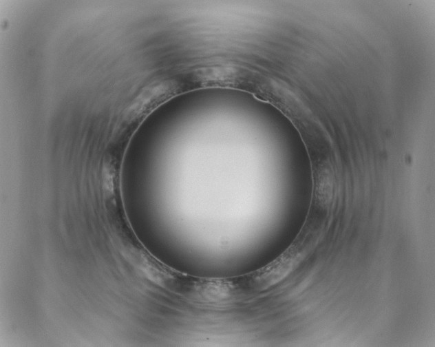X0000089670282200706211202