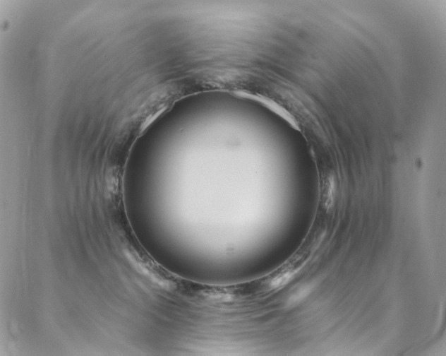 X0000089670284200706211202