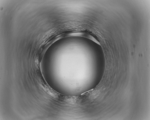 X0000089670288200706211202