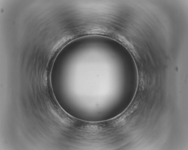 X0000089670298200706211201