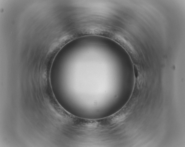 X0000089670306200706211201