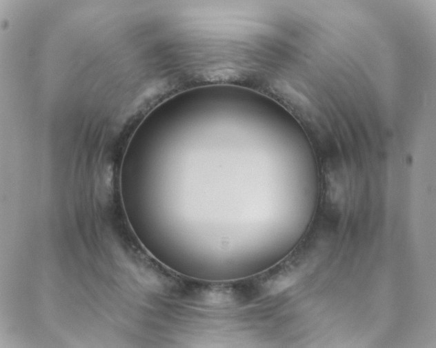 X0000089670308200706211201