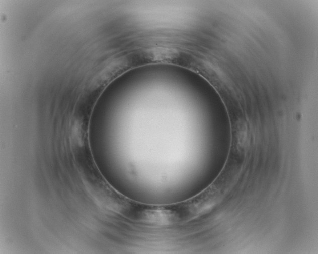 X0000089670316200706211200
