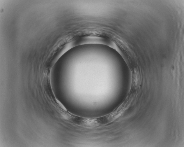 X0000089670333200706211200