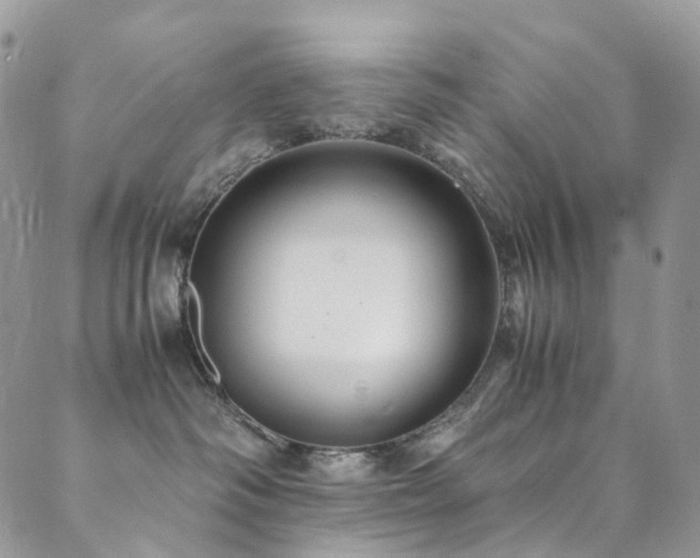 X0000089670334200706211200
