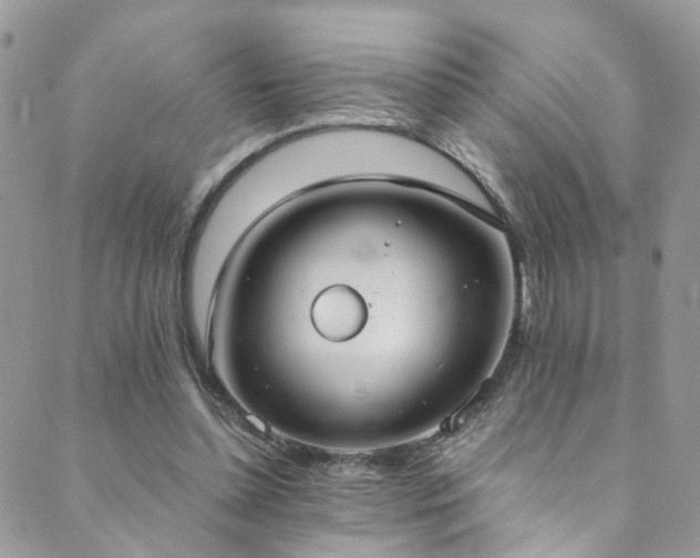 X0000089670348200706211159