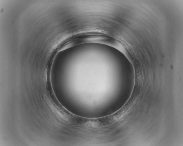 X0000089670350200706211159