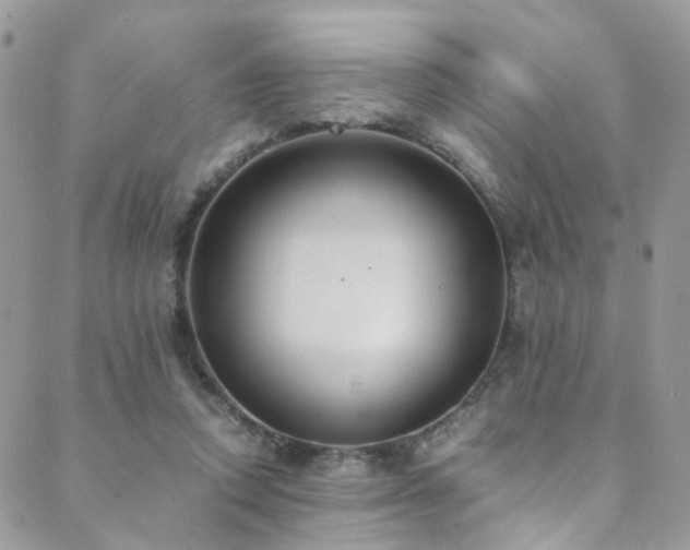 X0000089670354200706211200