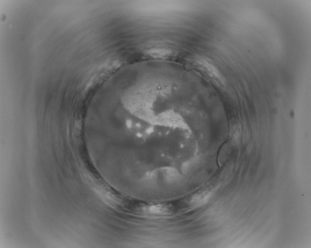 X0000089670365200706211200