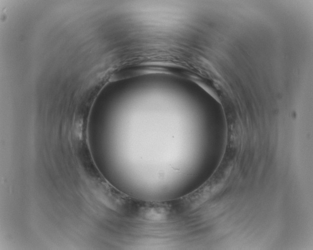 X0000089670368200706211200