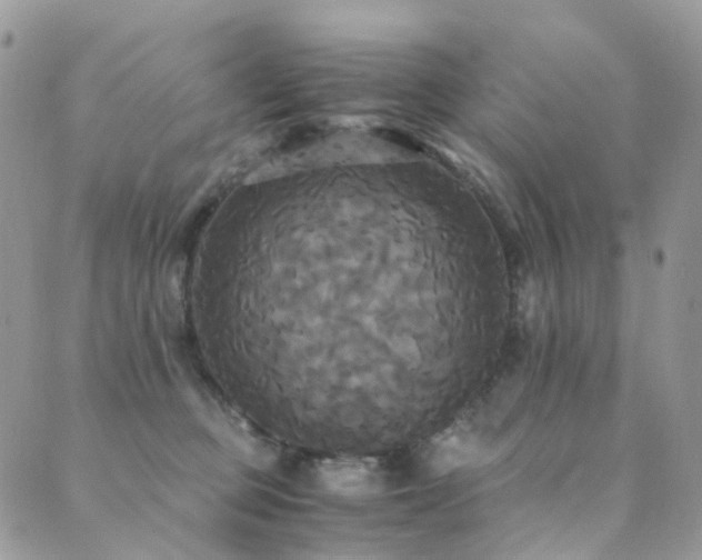 X0000089670373200706211200