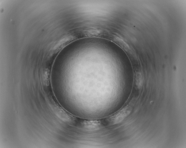 X0000089670378200706211200