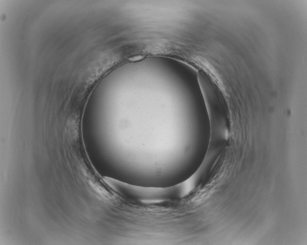 X0000089670393200706211159