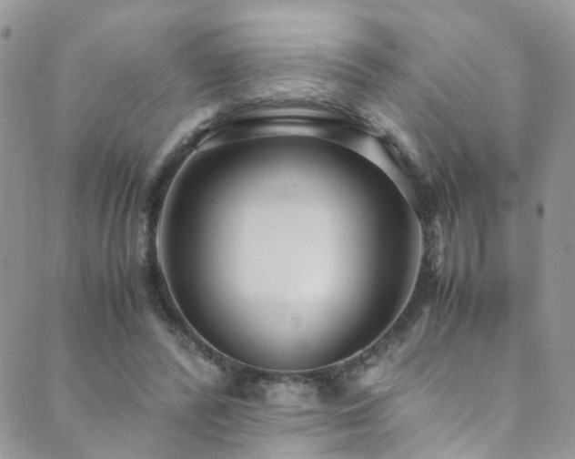 X0000089670400200706211159