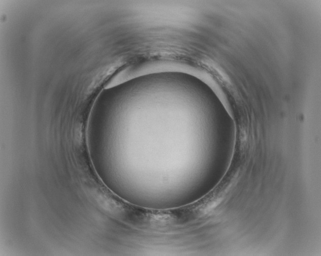 X0000089670401200706211159