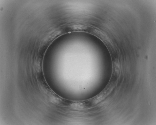 X0000089670422200706211159