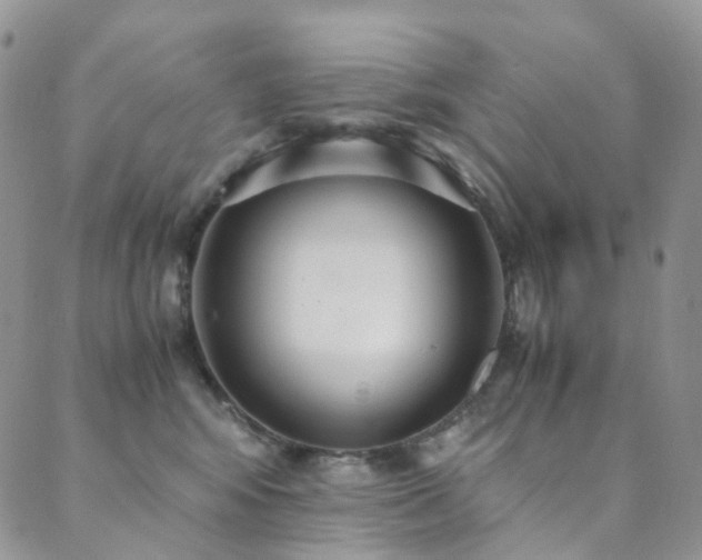 X0000089670424200706211159