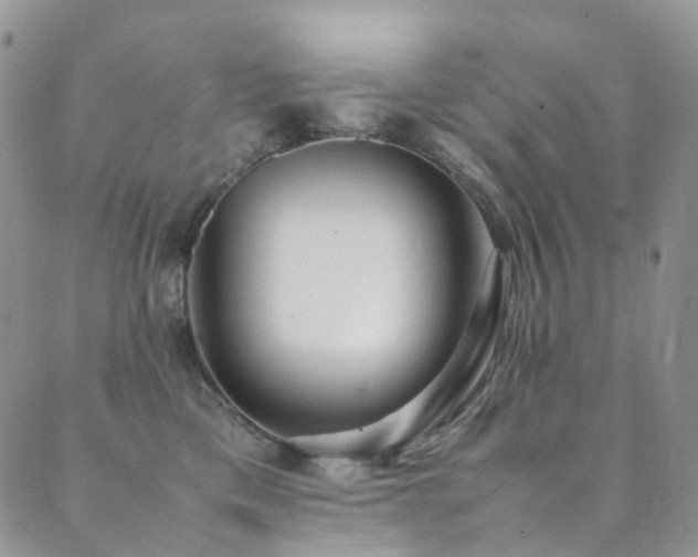 X0000089670425200706211159