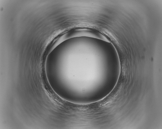 X0000089670436200706211158