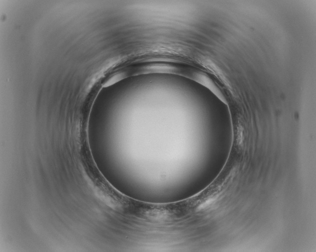 X0000089670444200706211158