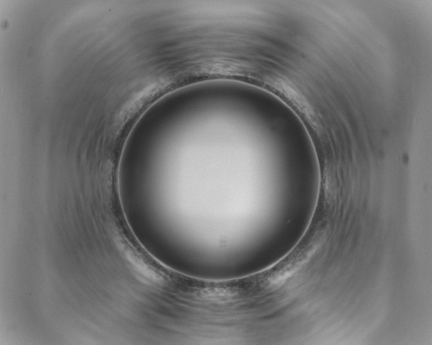 X0000089670445200706211158