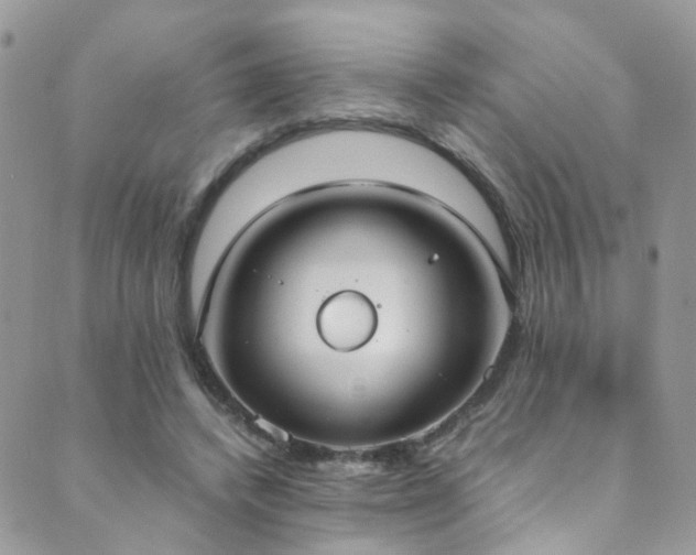 X0000089670448200706211158
