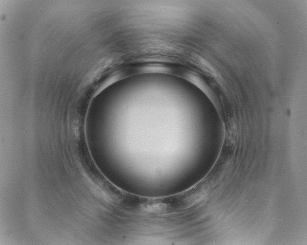 X0000089670452200706211158