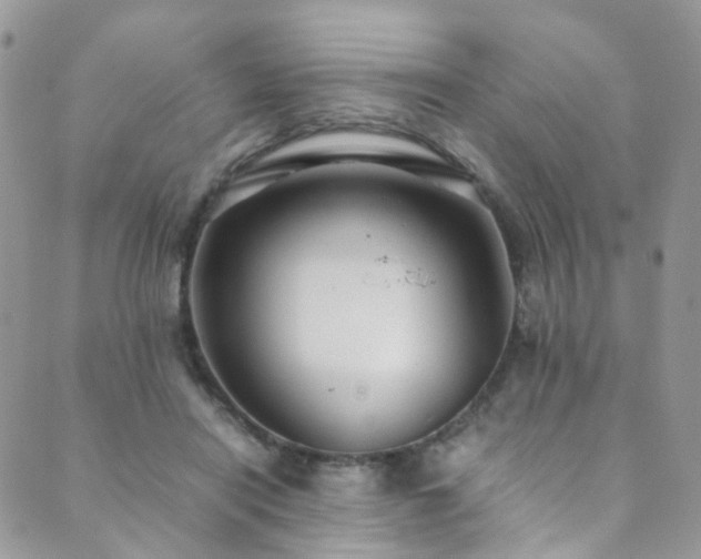 X0000089670454200706211158