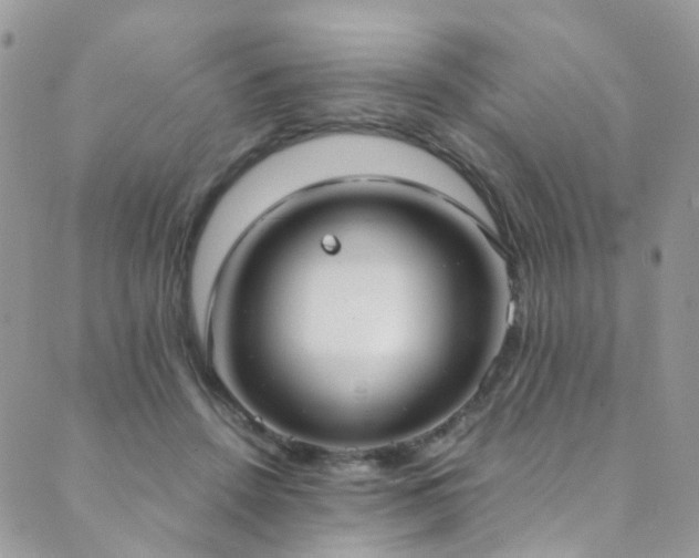 X0000089670456200706211158