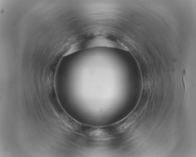 X0000089670460200706211158