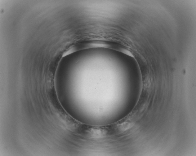 X0000089670464200706211158