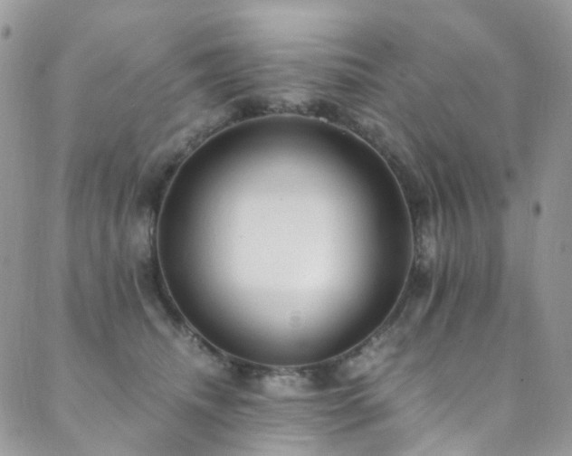 X0000089670468200706211158