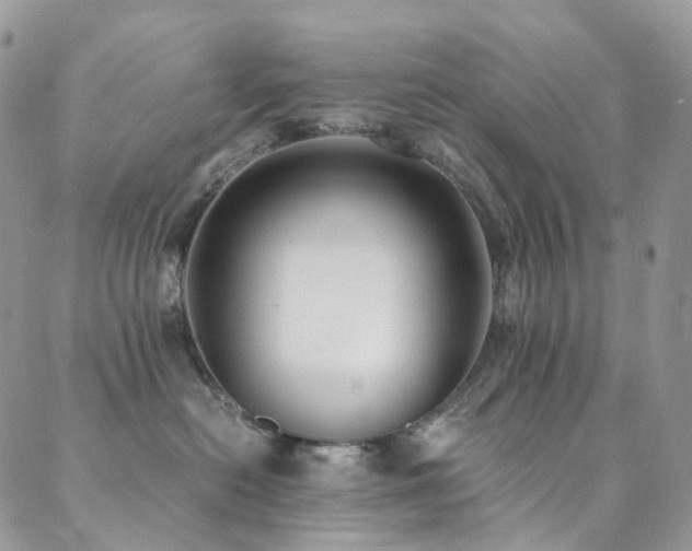 X0000089670478200706211158
