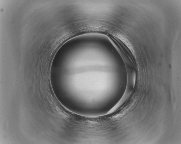 X0000089670481200706211158