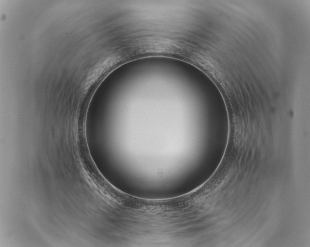 X0000089670482200706211158