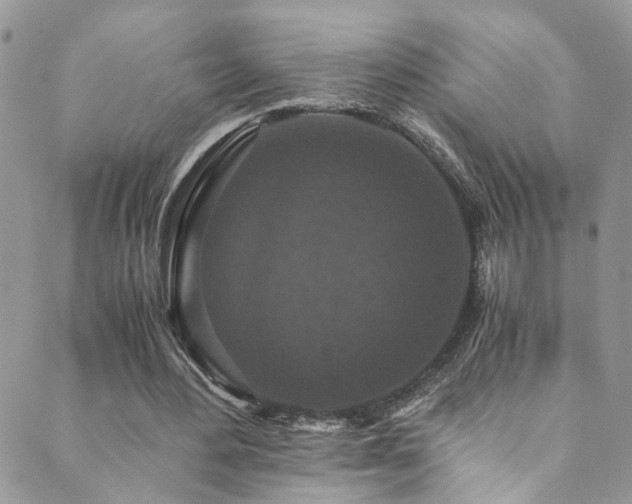 X0000089670484200706211158